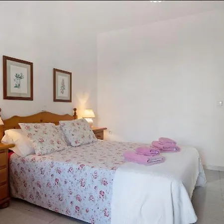 Palmeras * Playa Blanca (Lanzarote)